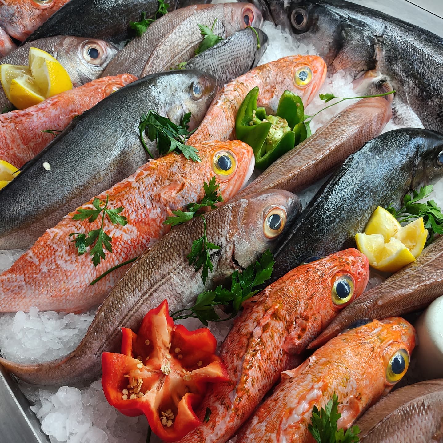 Peixe congelado, restaurante Mariserra em São Miguel, Açores