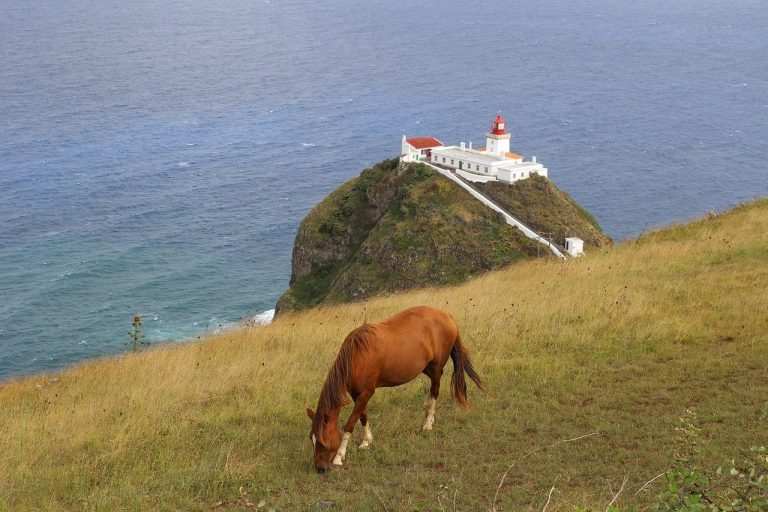 How about a little getaway to the island of Santa Maria in the Azores?