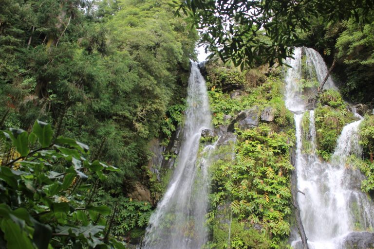 These are the best trails of São Miguel Island!