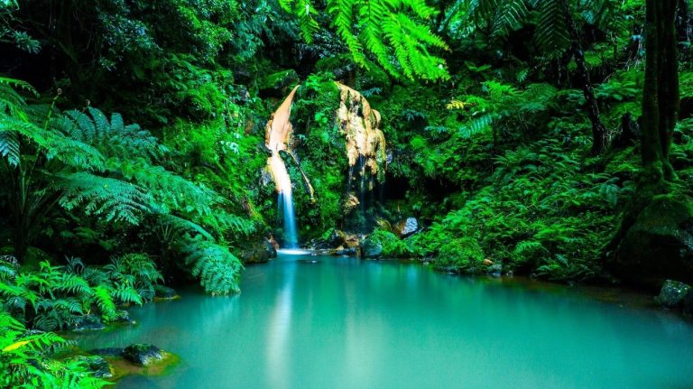 Do you know the best thermal pools of the Azores?