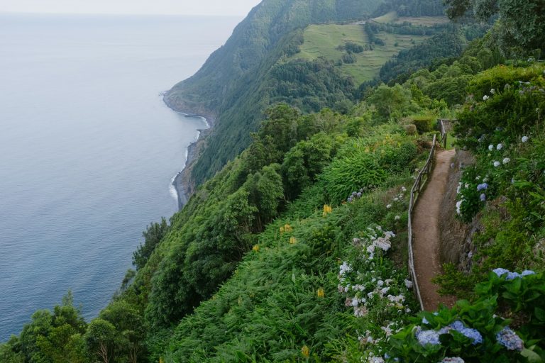Activities you can’t miss when visiting São Miguel!